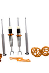 Adjustable Lowering Suspension Coilovers Kit compatible for VW Passat 3B 3BG Coilovers