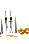 Adjustable Lowering Suspension Coilovers Kit compatible for VW Passat 3B 3BG Coilovers